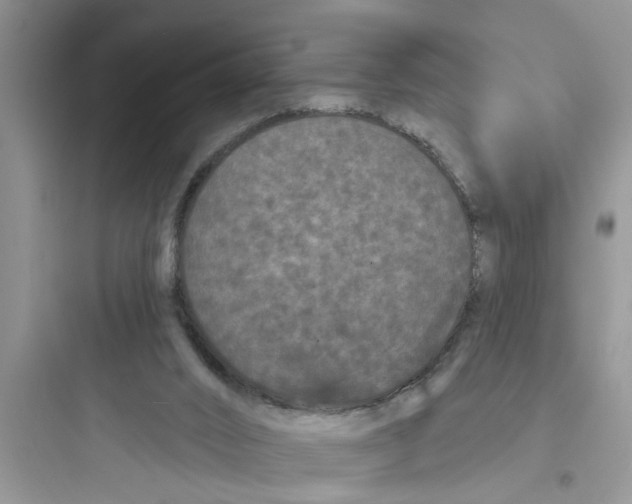 X0000097630016200803211820