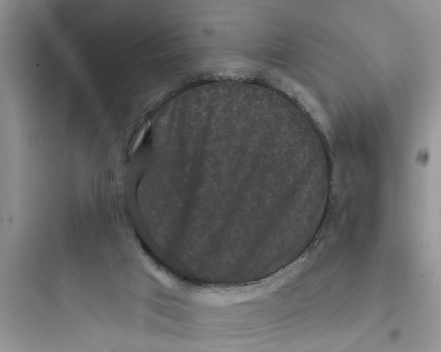 X0000097630017200803211820