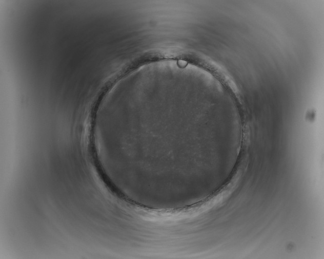 X0000097630018200803211820