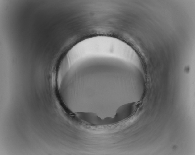 X0000097630019200803211820