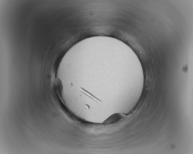 X0000097630021200803211820