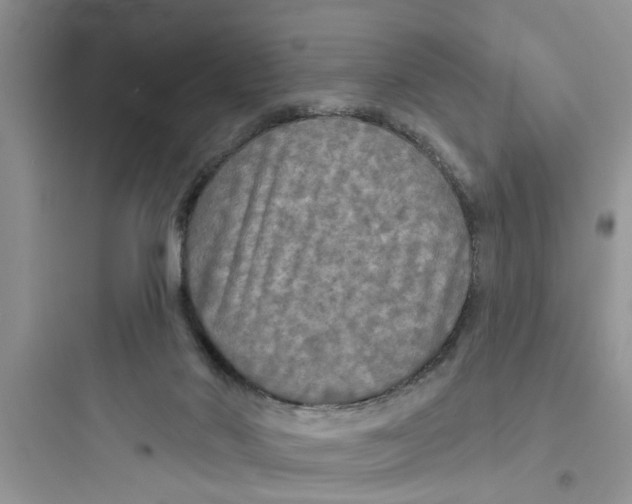 X0000097630022200803211820