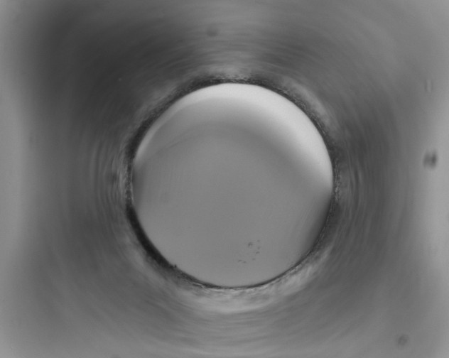 X0000097630023200803211820