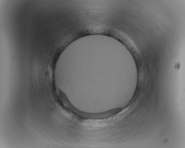 X0000097630025200803211820