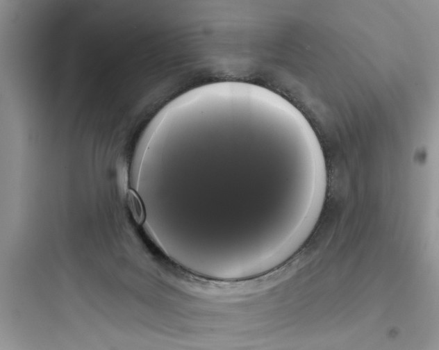 X0000097630027200803211820