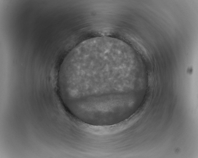 X0000097630030200803211820