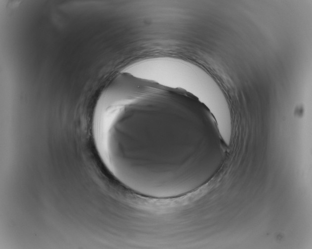 X0000097630031200803211820