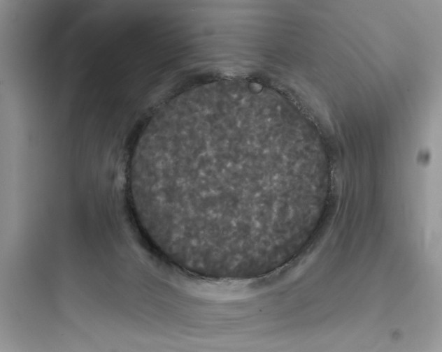 X0000097630032200803211820