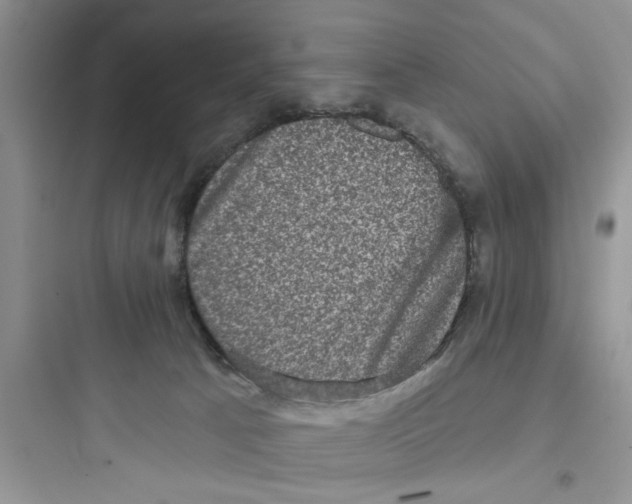 X0000097630033200803211820