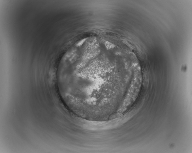 X0000097630034200803211820