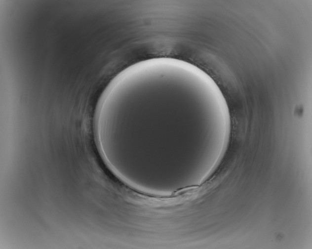 X0000097630035200803211820