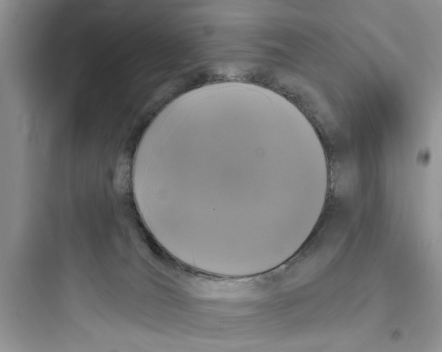 X0000097630036200803211820