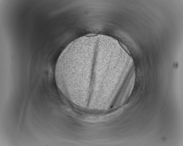 X0000097630037200803211820