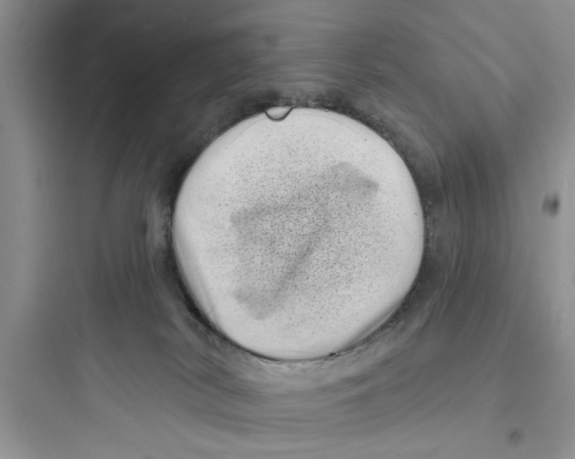 X0000097630038200803211820