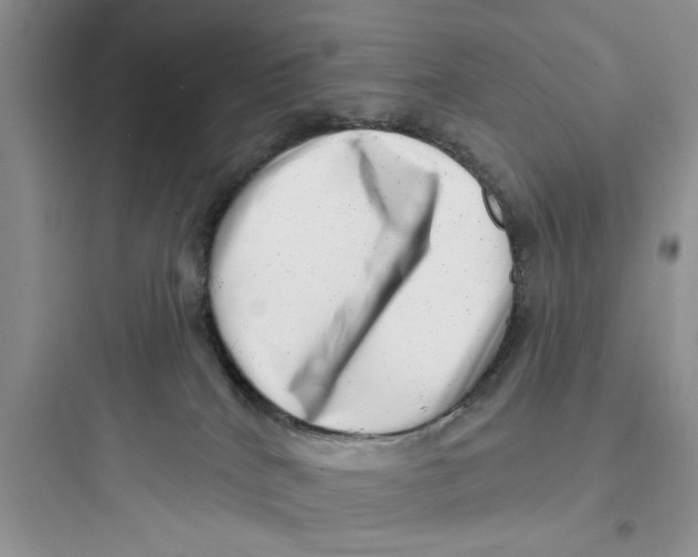 X0000097630040200803211820