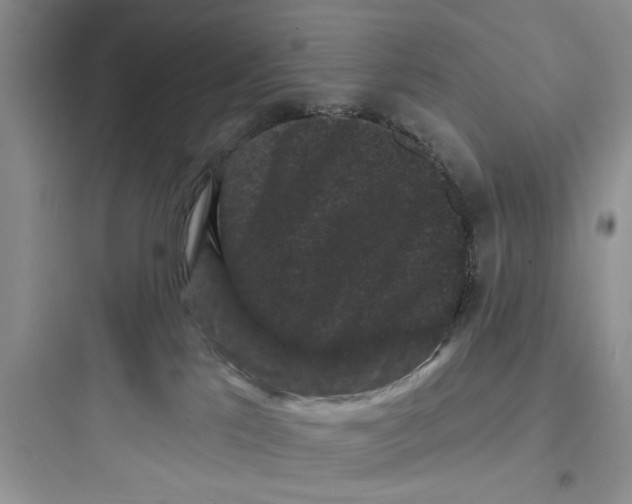 X0000097630041200803211820