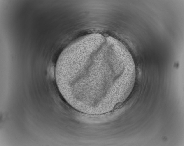 X0000097630042200803211820