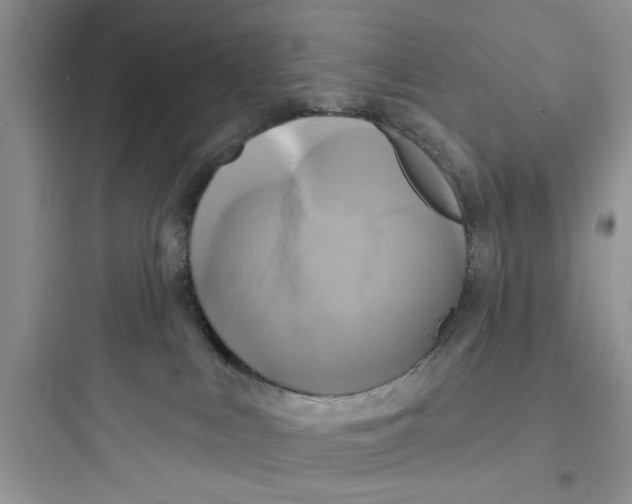 X0000097630043200803211820