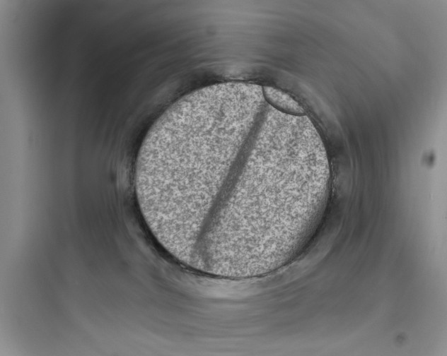 X0000097630044200803211820