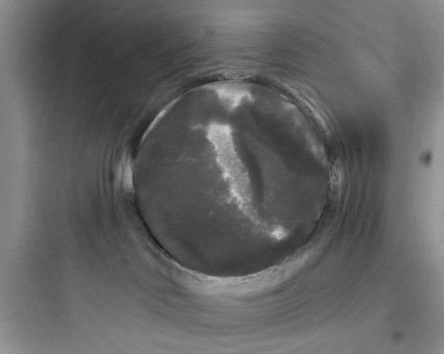 X0000097630046200803211820