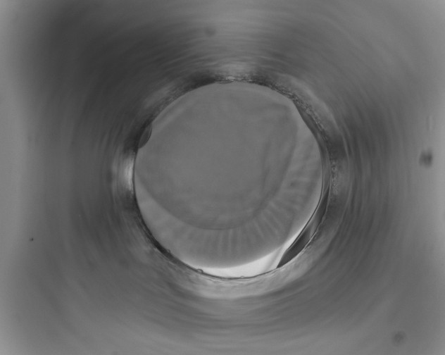 X0000097630047200803211820