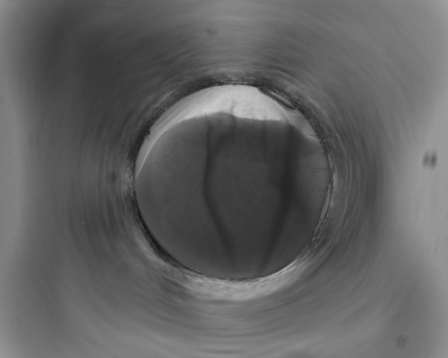 X0000097630048200803211819