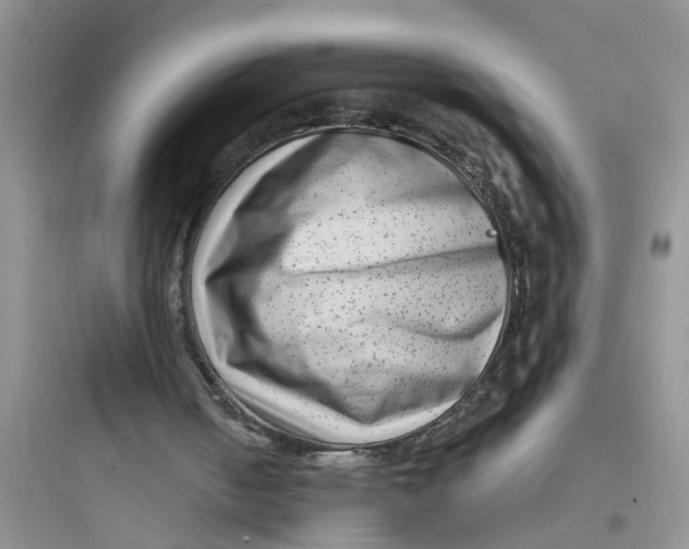 X0000097630050200803211819