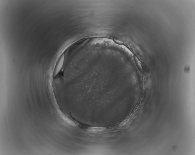 X0000097630051200803211819