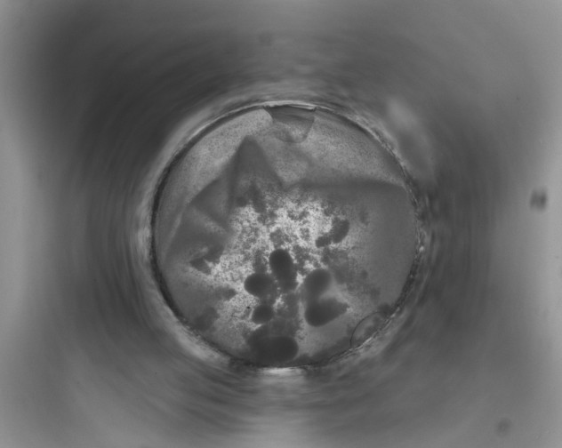 X0000097630053200803211819