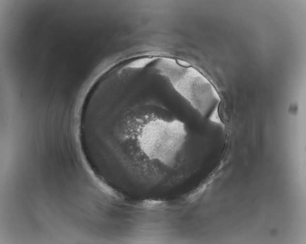 X0000097630055200803211819