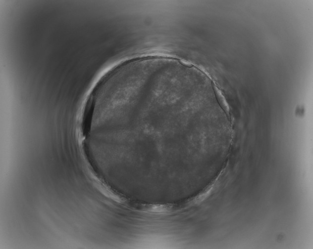 X0000097630056200803211819