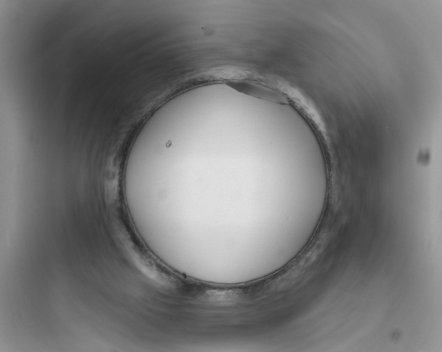 X0000097630057200803211819