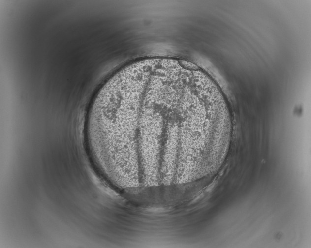 X0000097630058200803211819