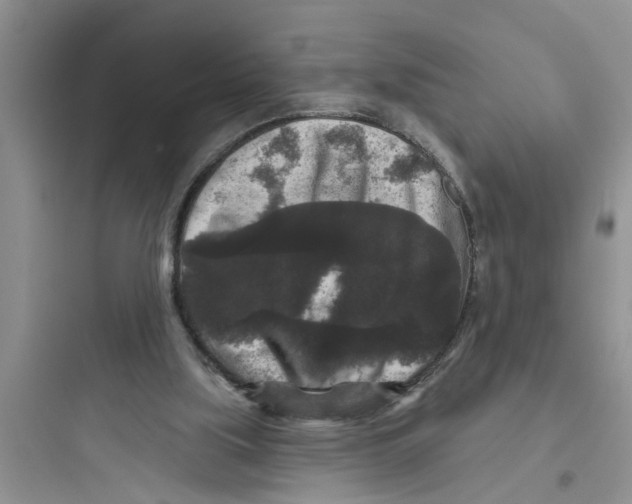 X0000097630059200803211819