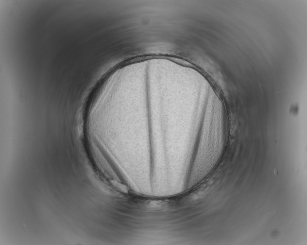 X0000097630060200803211819