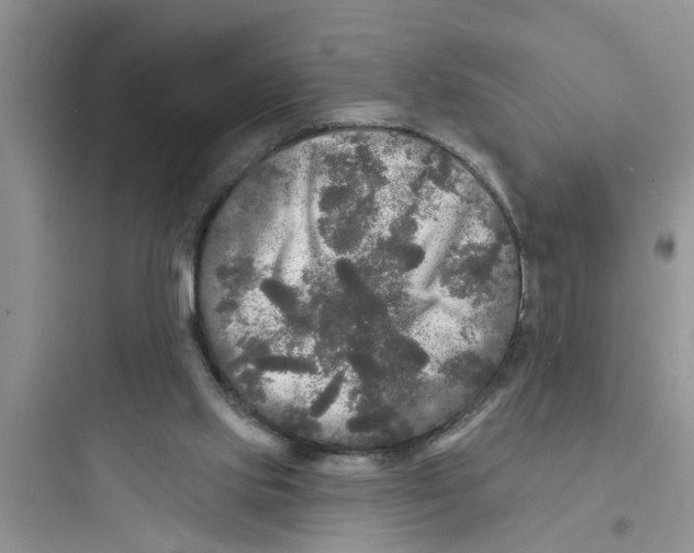 X0000097630061200803211819