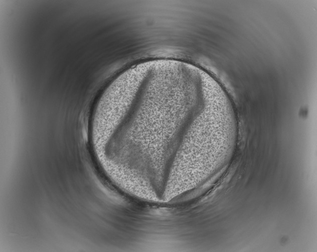 X0000097630062200803211819