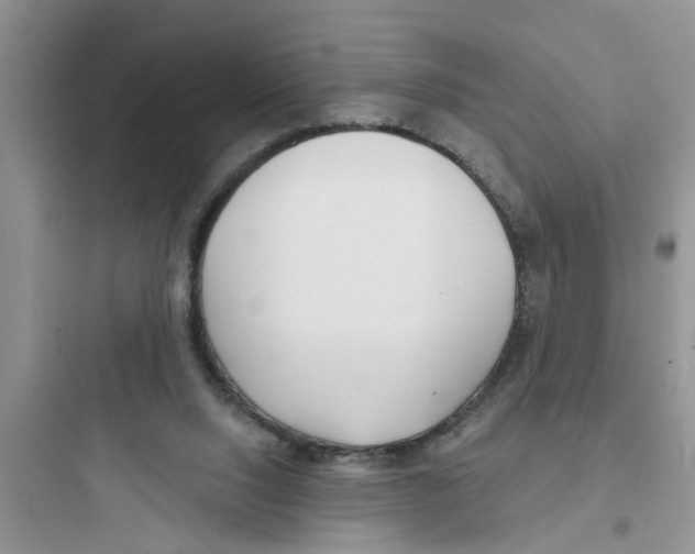 X0000097630064200803211819