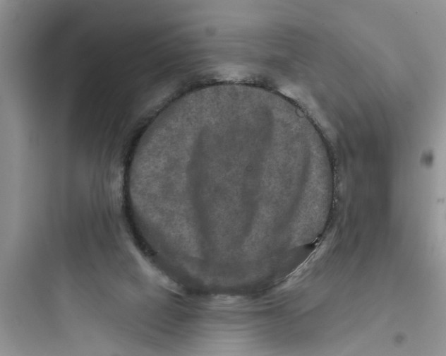 X0000097630066200803211819