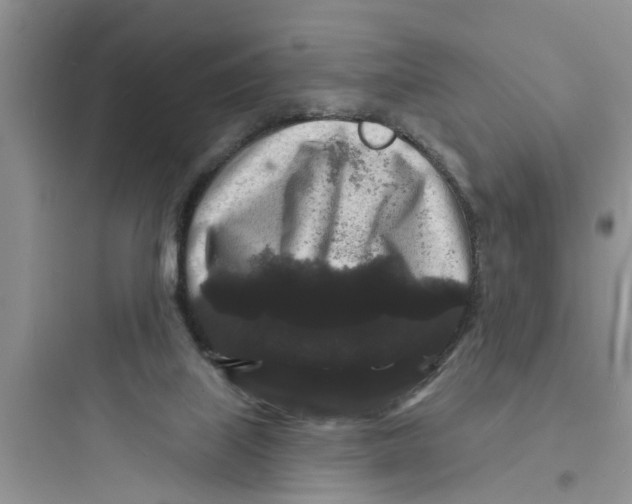 X0000097630067200803211819