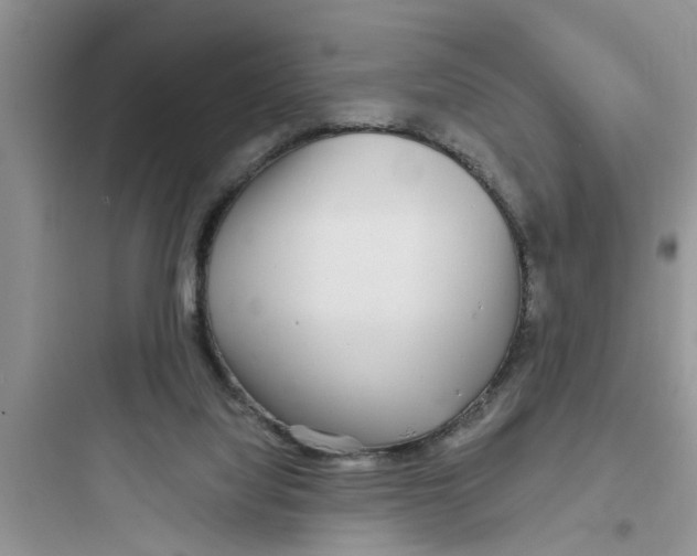 X0000097630068200803211819