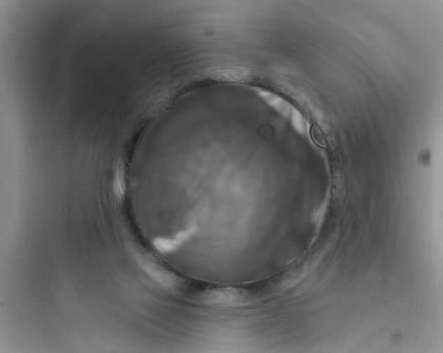 X0000097630069200803211819