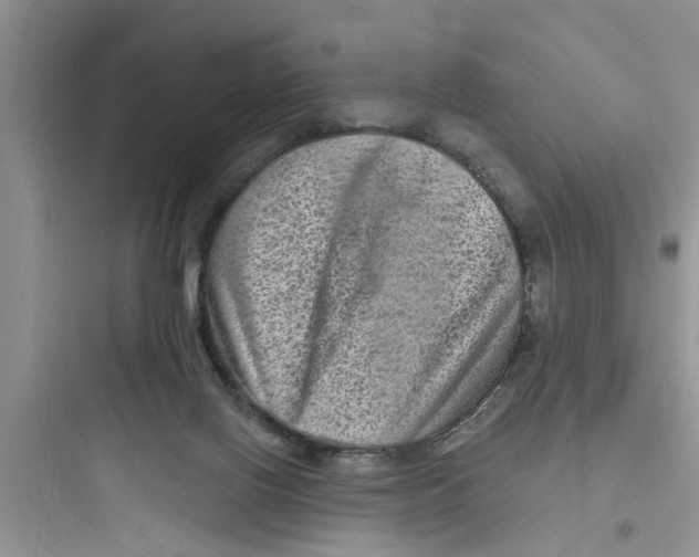 X0000097630070200803211819