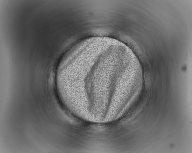 X0000097630071200803211819