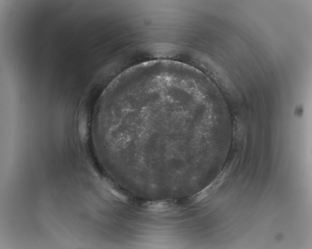 X0000097630074200803211819