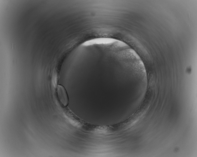 X0000097630076200803211819