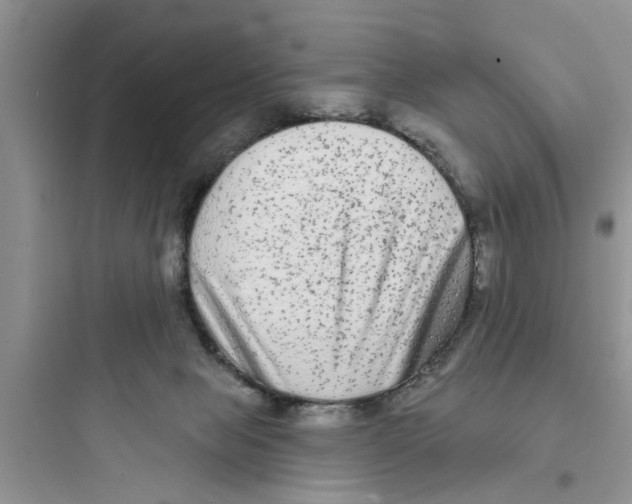 X0000097630077200803211819