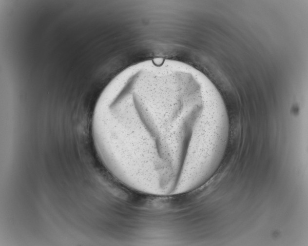 X0000097630078200803211819