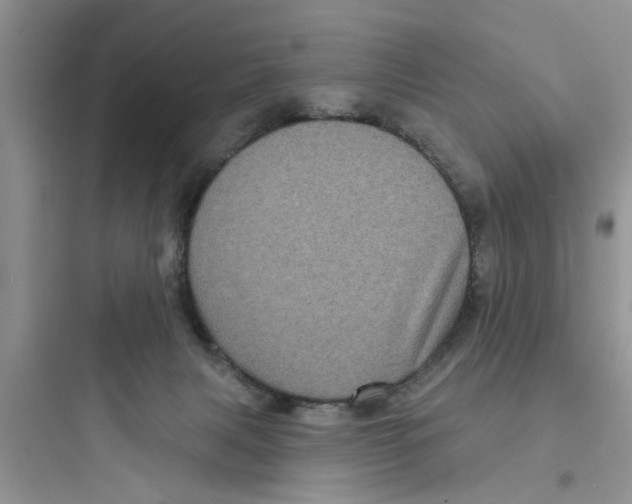 X0000097630079200803211819