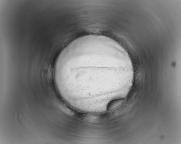 X0000097630081200803211819